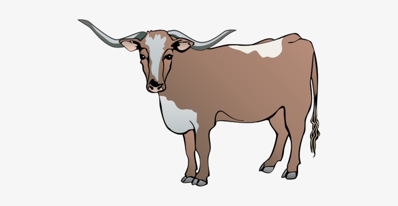 820x425 Longhorn Cattle Clipart Drawing