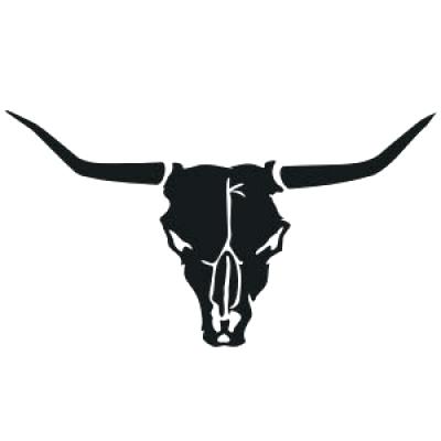 400x400 Longhorn Cow Skull For Sale Texas Drawings