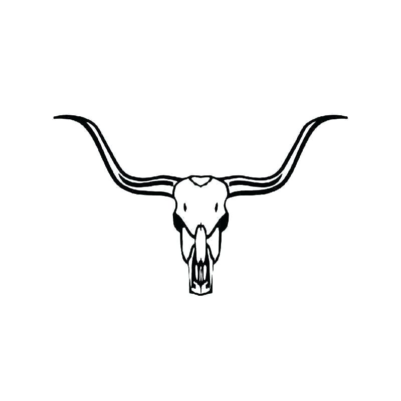 Longhorn Cattle Drawings | Free download on ClipArtMag