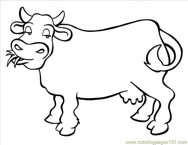 650x502 Longhorn Cattle Coloring Page