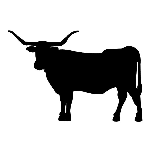 640x640 Texas Longhorn Cattle Clipart
