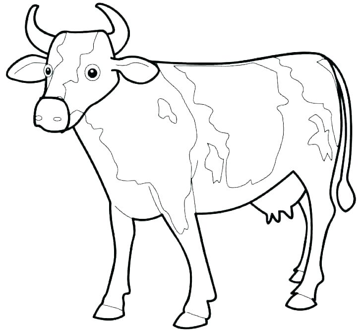 Longhorn Cattle Drawings | Free download on ClipArtMag