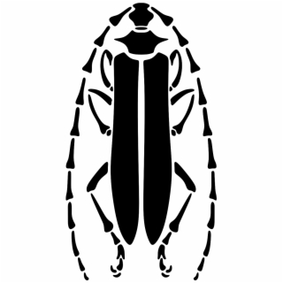 320x320 Longhorn Beetle Stencil Pattern