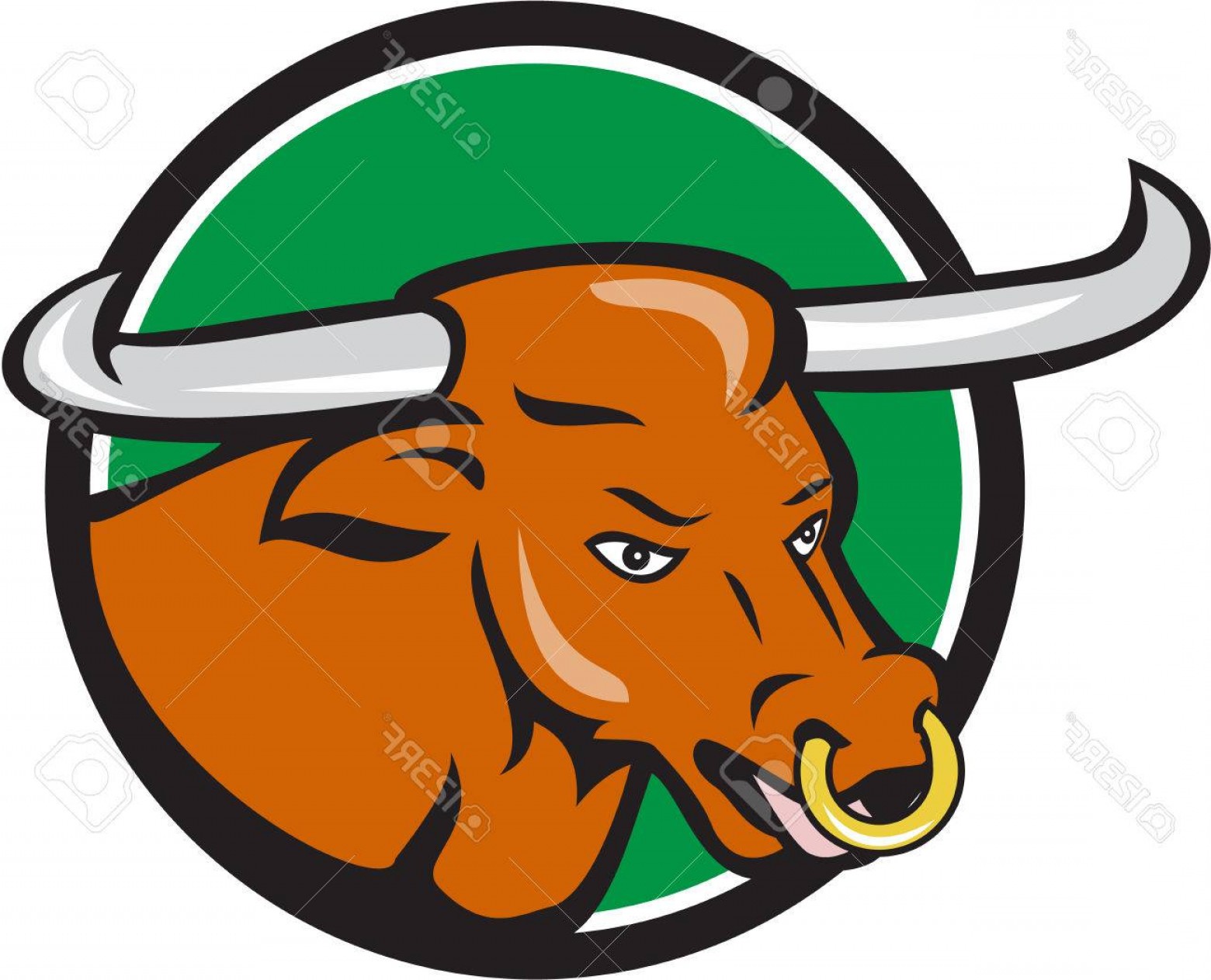 1560x1263 Vector Drawings Of Texas Longorns Soidergi