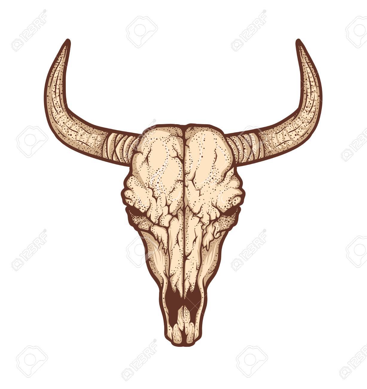 1227x1300 Drawn Bull Bull Skull