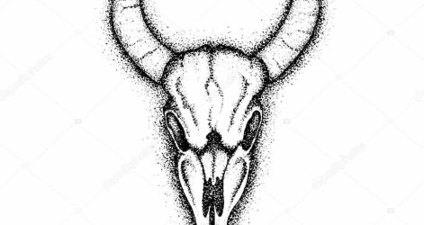 471x250 Skull Drawing Anatomy Tags Cute Drawings With Quotes Of Animals