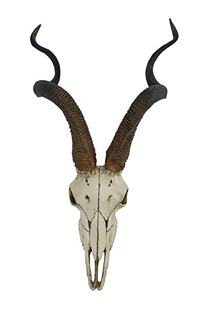 398x606 Veronese African Kudu Antelope Skull Wall Hanging Cool