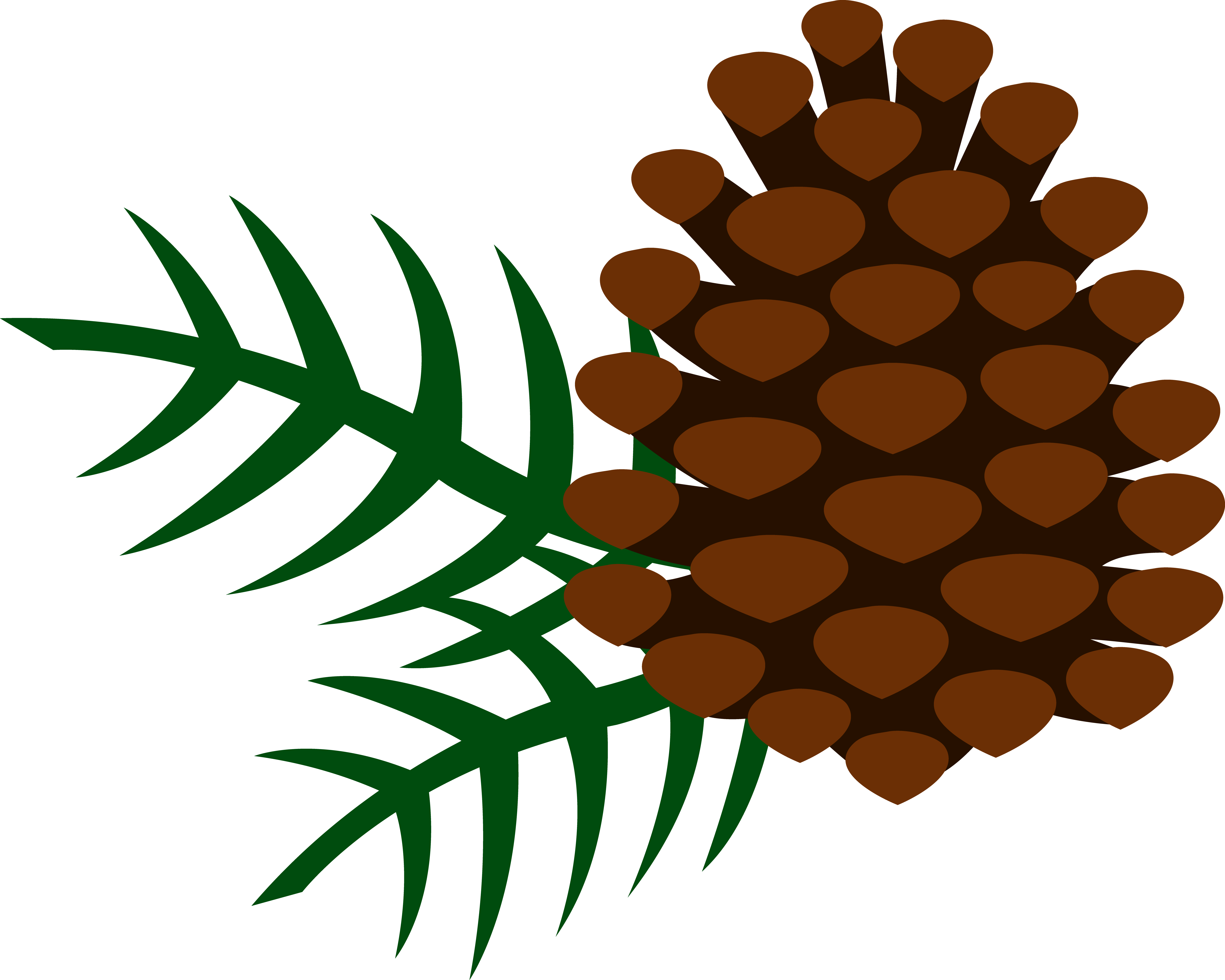6543x5237 Collection Of Free Pinecone Drawing Branch Download On Ui Ex