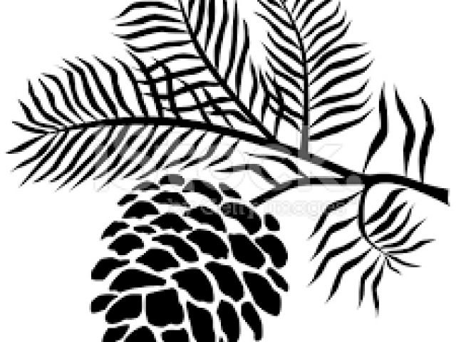 640x480 Free Pine Cone Clipart, Download Free Clip Art