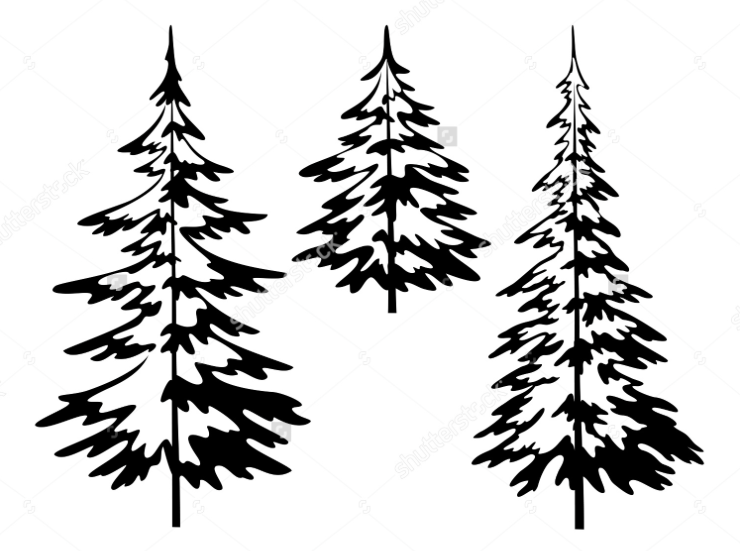 740x551 Silhouette Drawing Pine Forest For Free Download
