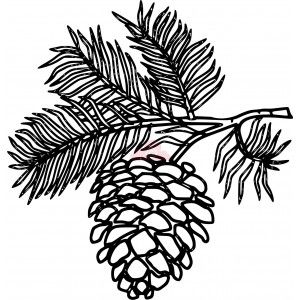 300x300 Image Detail For Pine Cone Card Making And Crafts Supplies
