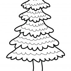 230x230 Wondrous Design White Pine Tree Coloring