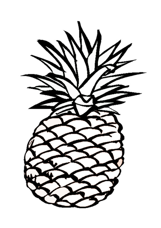 531x750 Pineapple Drawing Pine Apple For Free Download