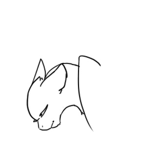 320x320 Wip Of A Cat Looking Up