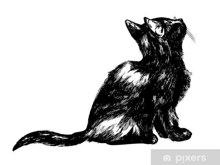 700x525 Drawing Of A Cat Looking Up