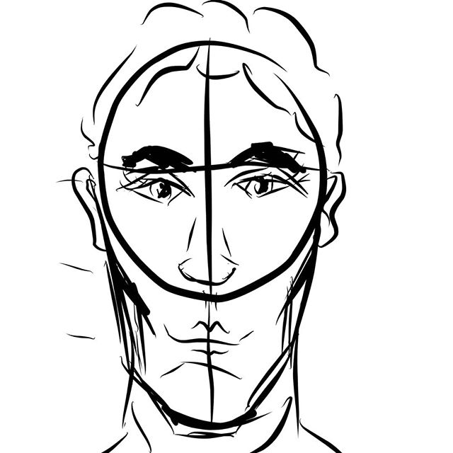 640x640 Raywhitcher's Simplified Loomis Face Structure