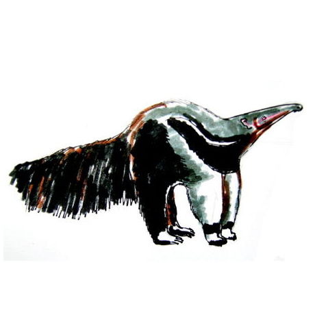 460x460 how to draw an anteater