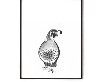 340x270 Ink Drawing Quail Etsy