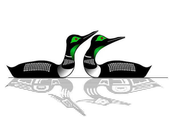 600x471 Loon Drawings Fine Art America