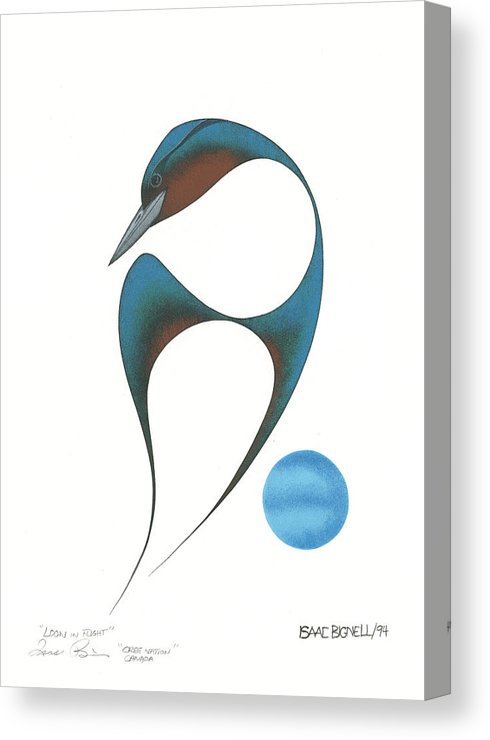 490x740 Loon In Flight Canvas Print Canvas Art