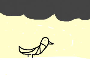 300x250 loon in a blizzard