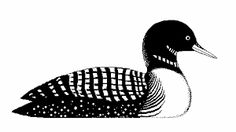 Loon Drawing | Free download on ClipArtMag