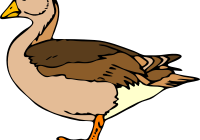 200x140 loon clip art common loon clip art free vector in open office