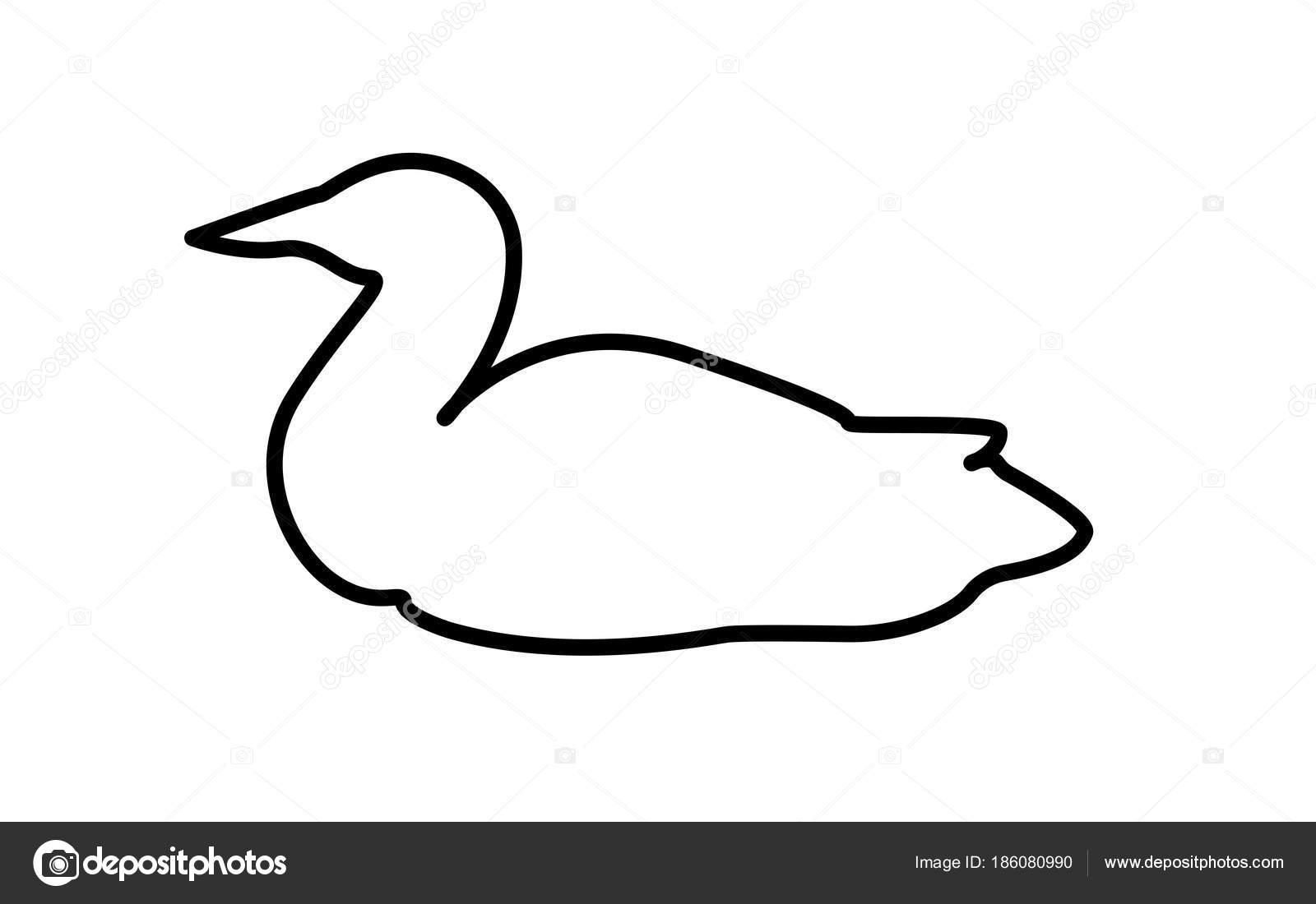 1600x1100 loon drawing vector for free download