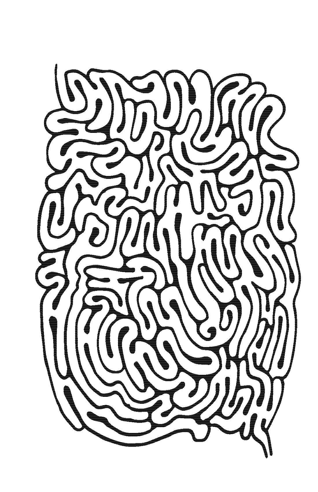 1100x1700 Lines To Splines Arch