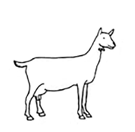 437x425 goat milk lotion emily valentine photography