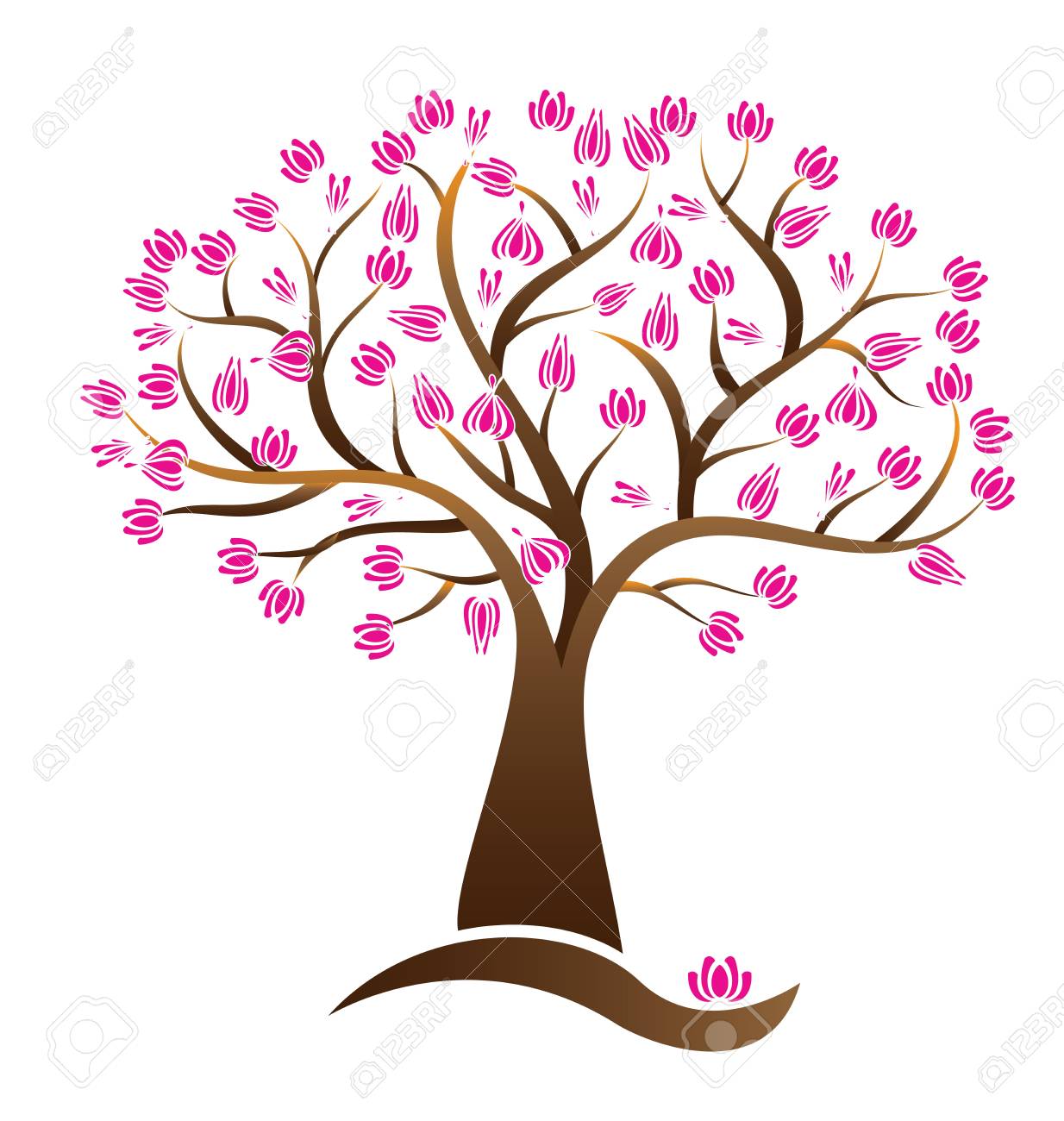 1234x1300 Sakura Bloom Drawing Lotus Blossom Color