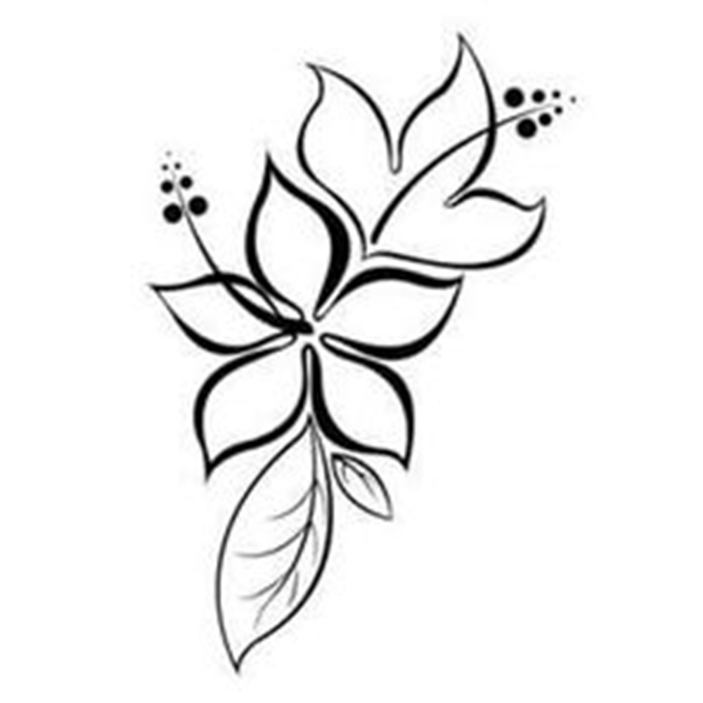 1000x1000 Simple Lotus Flower Drawing And Simple Lotus Flower Drawing Simple