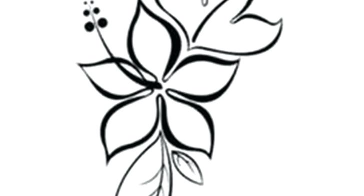 728x393 Lotus Flower Draw