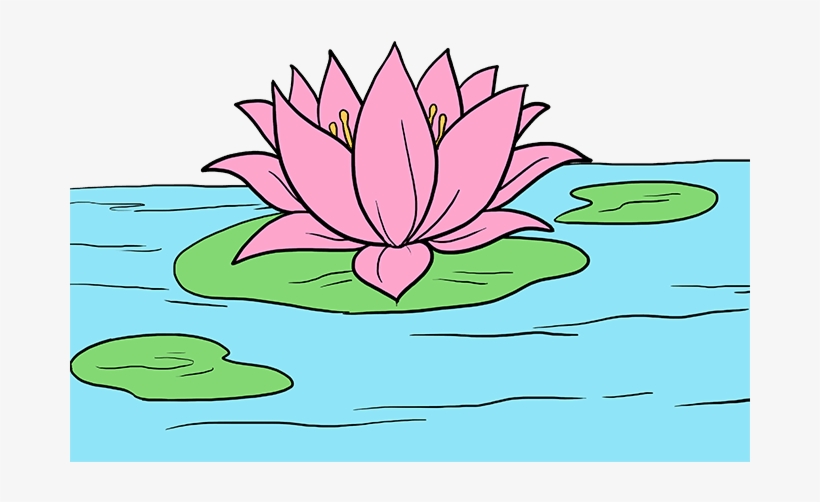 820x502 How To Draw Lotus Flower