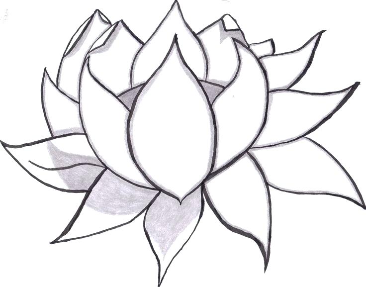 736x577 Flower Easy Drawing How To Draw A Flower Easy Step Lotus Flower