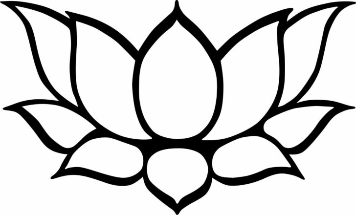 Lotus Drawing Simple
