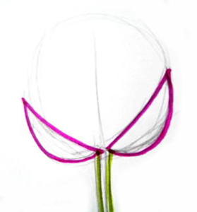 279x300 How To Draw A Lotus