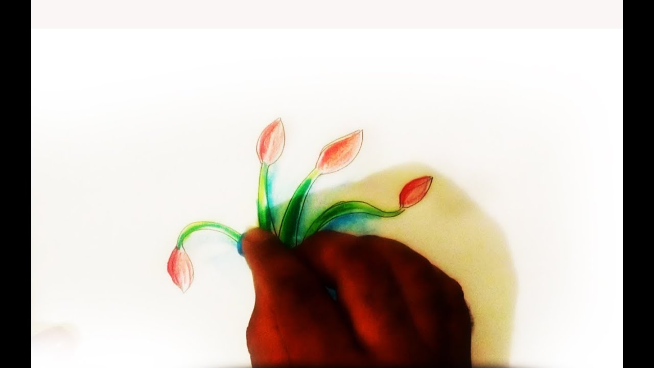 1280x720 How To Make Lotus Flower Drawing Step