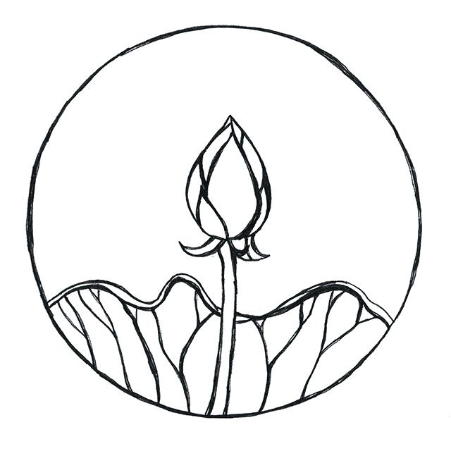 640x640 Lotus Drawing