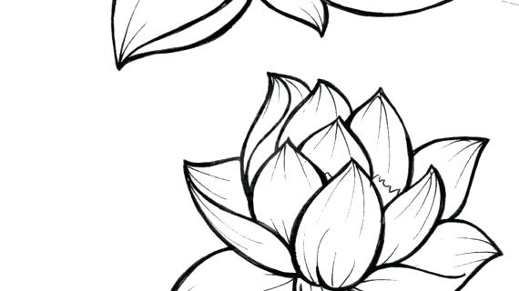 570x320 Flower To Draw Drawing Lotus Fresh Simple Lotus Flower Drawing