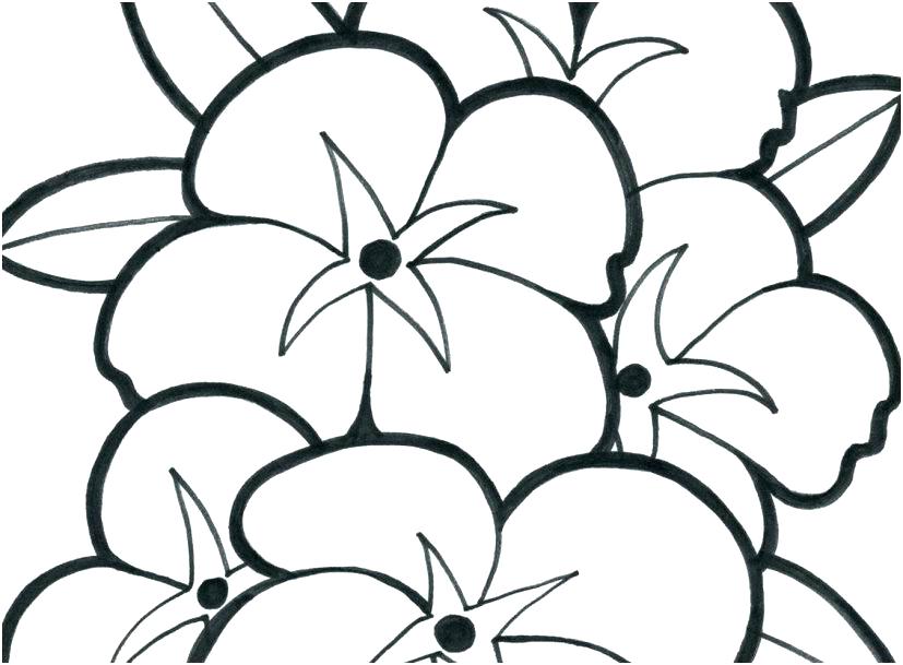 827x609 Flower Coloring Pages To Color Online Adult Flower Coloring Pages