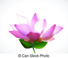 226x194 Pink Color Lotus Flower On Leaves Vector Drawing