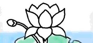 300x140 How To Draw A Lotus Flower On A Computer Drawing Illustration