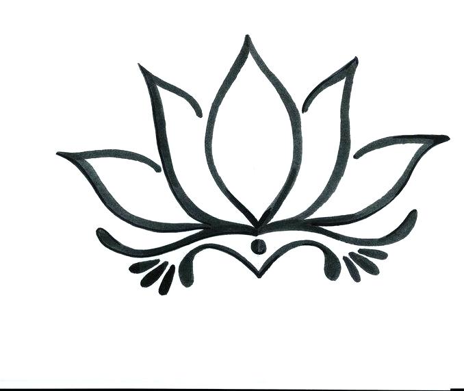 678x571 Flower Drawing Simple