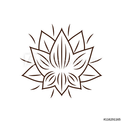 500x500 Lotus Flower Drawing Isolated Icon Design, Vector Illustration