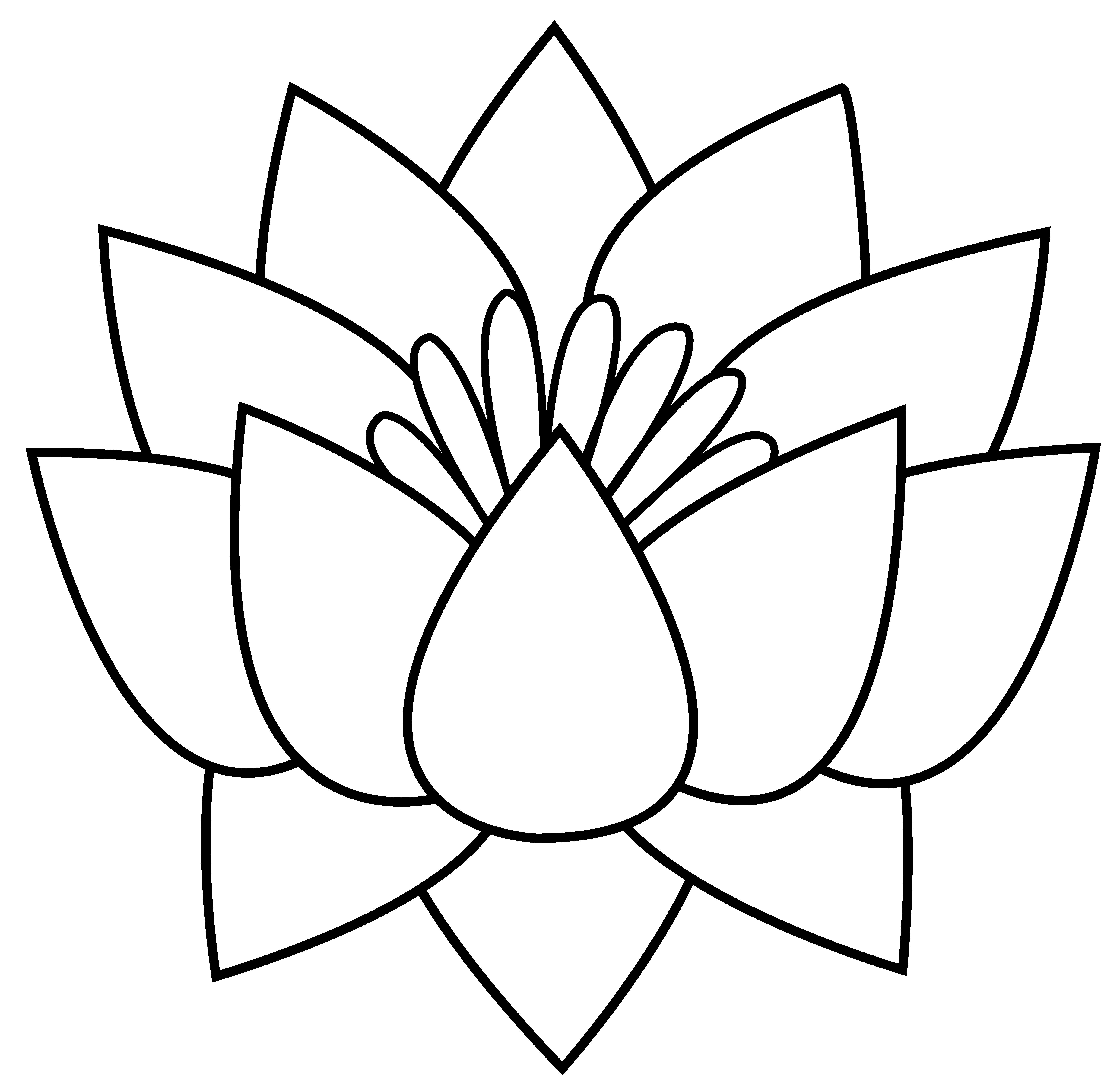 5953x5764 Celestial Drawing Lotus Flower Transparent Png Clipart Free