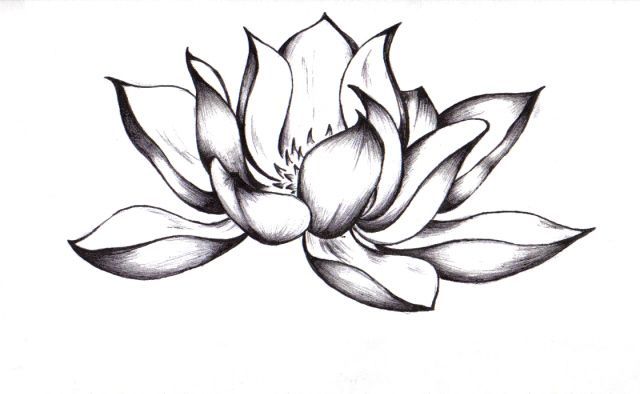 640x394 Gallery For Gt Simple Lotus Flower Drawing Tattoo Ink Tattoos