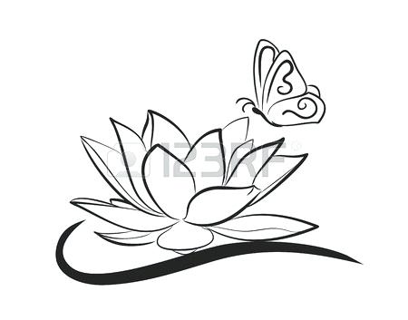 450x353 Lotus Drawing Lotus Flower Vector Lotus Drawing Step