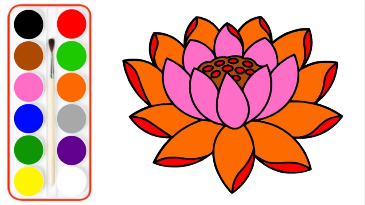 1280x720 Lotus Flower Drawing Easy Flowers To Draw Step