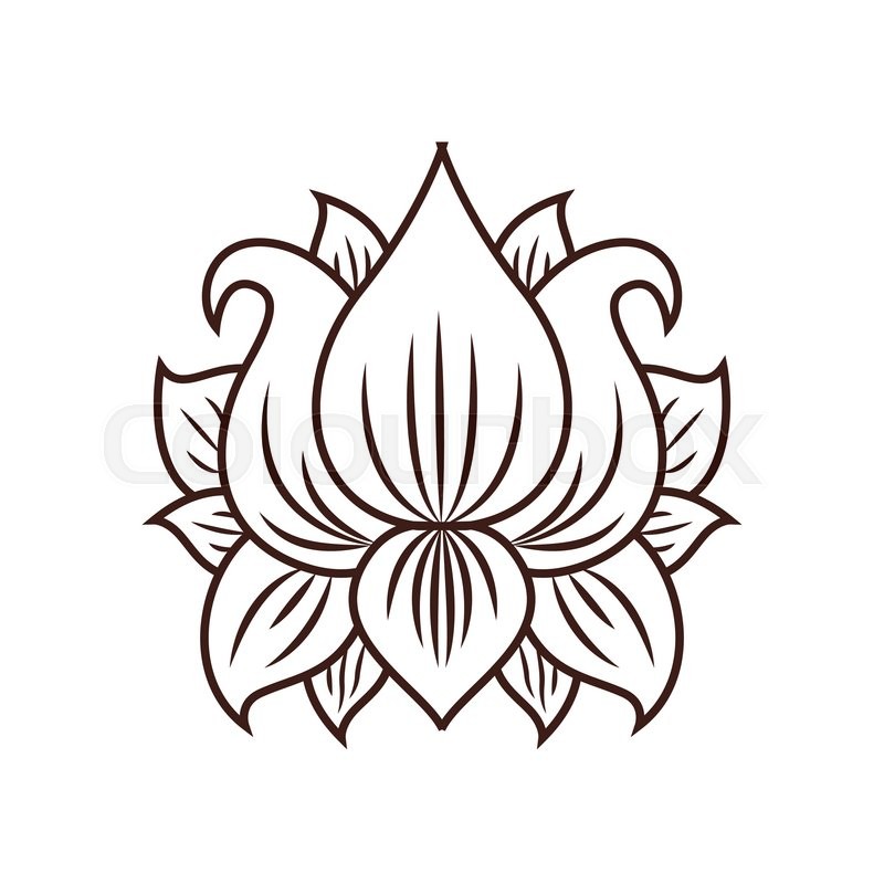 800x800 Lotus Flower Drawing Isolated Icon Stock Vector Colourbox
